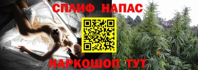 прущие крисы Краснодар