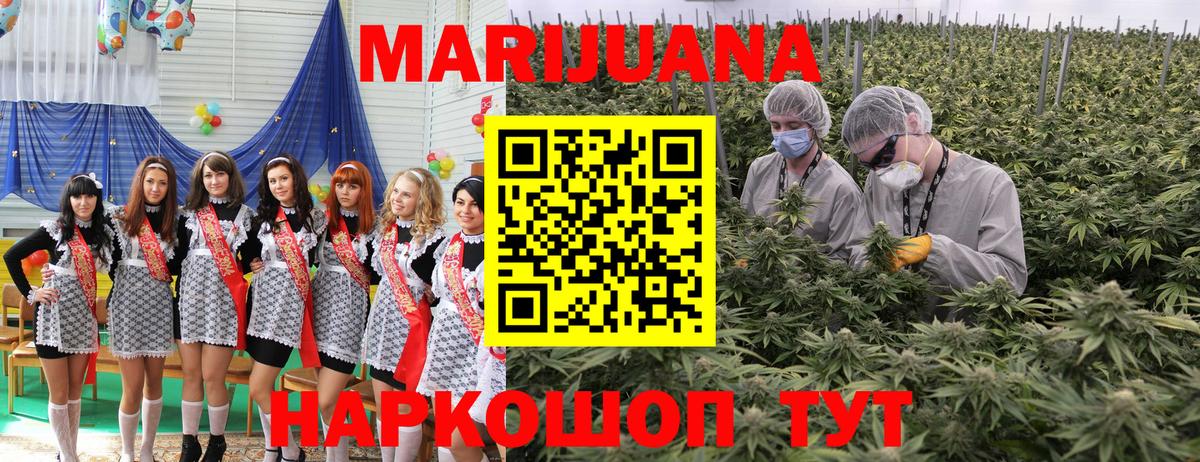 Конопля ГИДРОПОН  Вход с VPN  Каннабис Bruce Banner  Еманжелинск 